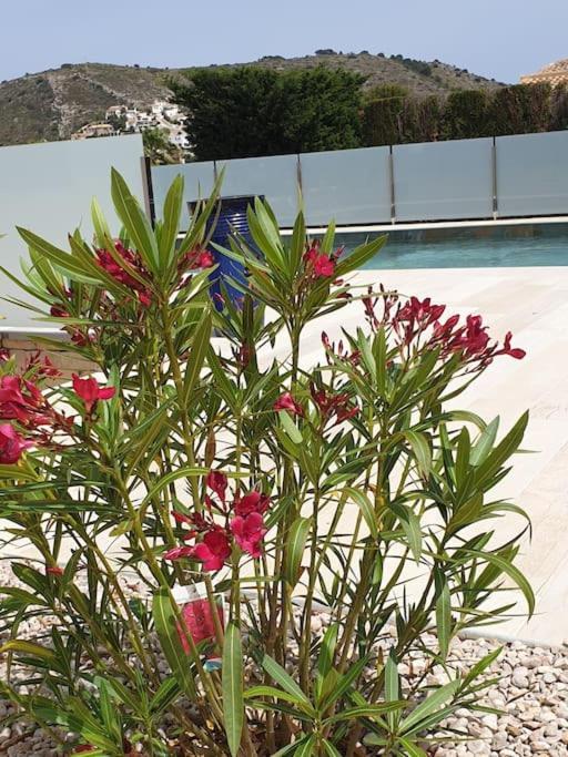 Casa Osimos Portet 450 M Moraira Exteriér fotografie