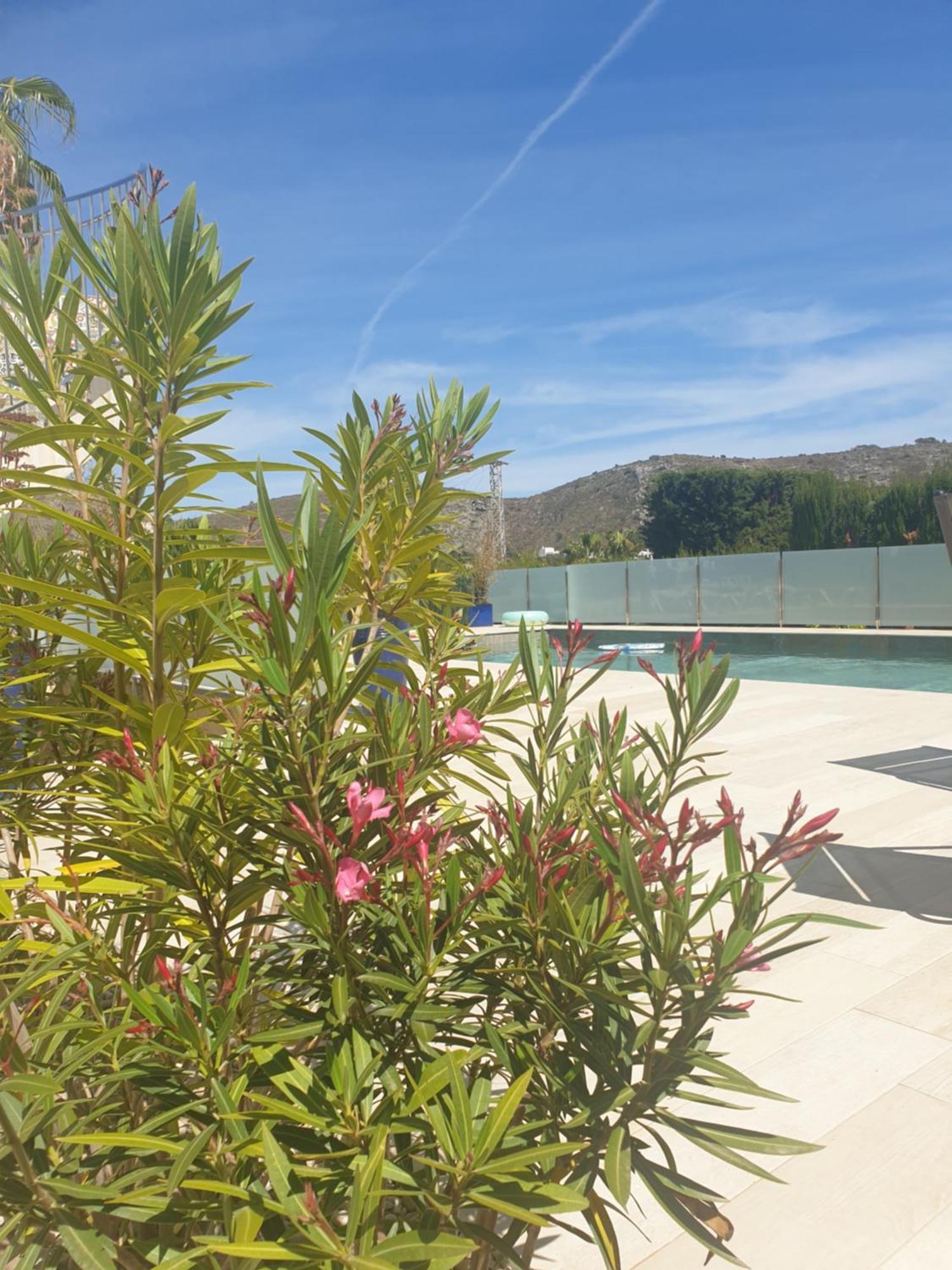 Casa Osimos Portet 450 M Moraira Exteriér fotografie